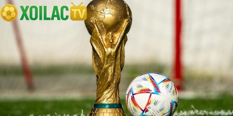 Các Danh Hiệu Trong Bóng Đá Và Ý Nghĩa Của Từng Cúp