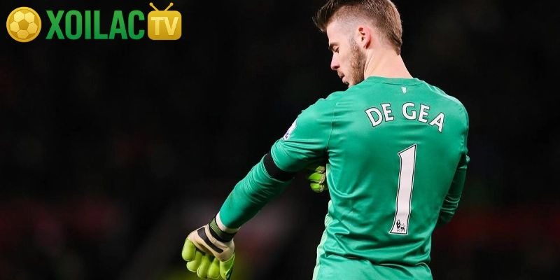 Vai trò của từng vị trí trong đội hình bóng đá